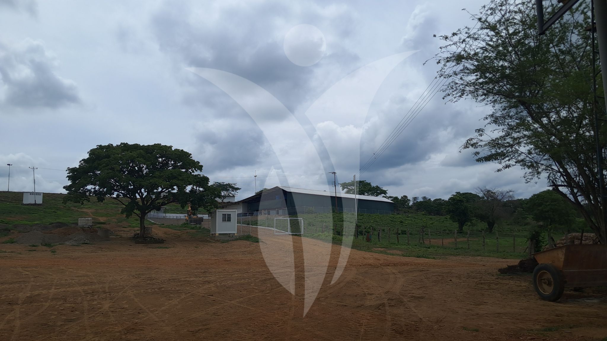 Liderazgo gerencial en los negocios agropecuarios inagrofar